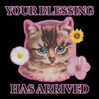 Your Blessing Has Arrived Cat & Funny Silly Catr Blessing Has Arrived Cat & Funn Bucket Hat