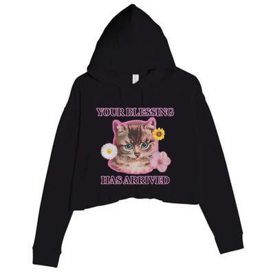 Your Blessing Has Arrived Cat & Funny Silly Catr Blessing Has Arrived Cat & Funn Crop Fleece Hoodie