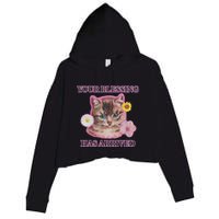 Your Blessing Has Arrived Cat & Funny Silly Catr Blessing Has Arrived Cat & Funn Crop Fleece Hoodie