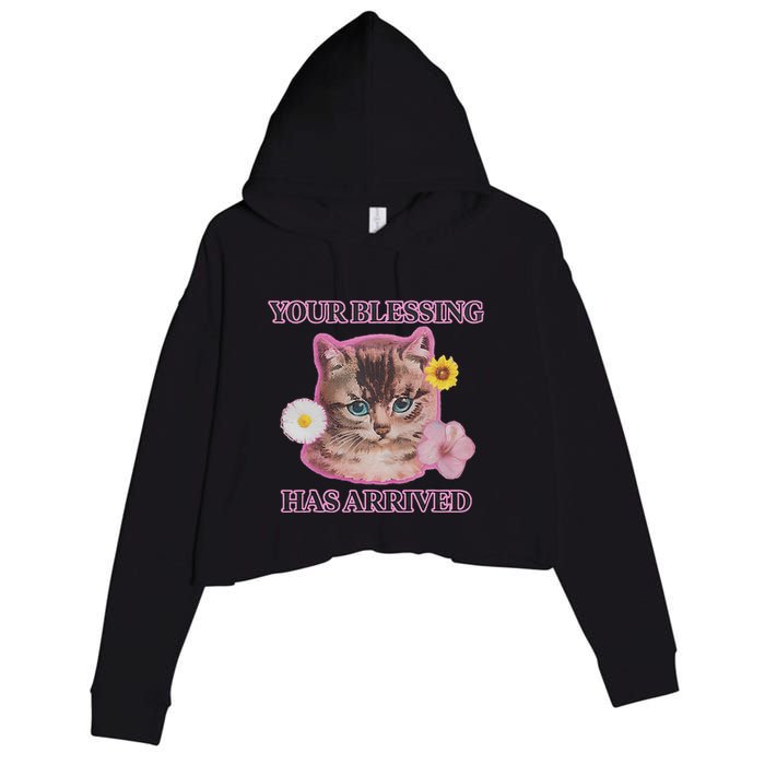 Your Blessing Has Arrived Cat & Funny Silly Catr Blessing Has Arrived Cat & Funn Crop Fleece Hoodie