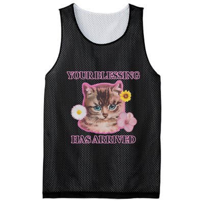 Your Blessing Has Arrived Cat & Funny Silly Catr Blessing Has Arrived Cat & Funn Mesh Reversible Basketball Jersey Tank