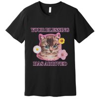 Your Blessing Has Arrived Cat & Funny Silly Catr Blessing Has Arrived Cat & Funn Premium T-Shirt