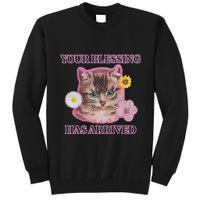 Your Blessing Has Arrived Cat & Funny Silly Catr Blessing Has Arrived Cat & Funn Tall Sweatshirt