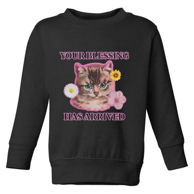 Your Blessing Has Arrived Cat & Funny Silly Catr Blessing Has Arrived Cat & Funn Toddler Sweatshirt