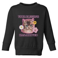 Your Blessing Has Arrived Cat & Funny Silly Catr Blessing Has Arrived Cat & Funn Toddler Sweatshirt