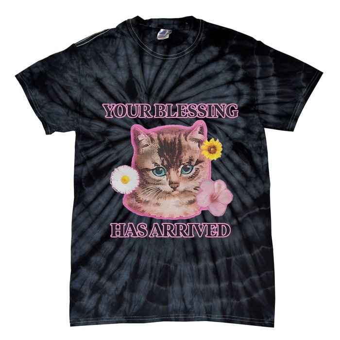 Your Blessing Has Arrived Cat & Funny Silly Catr Blessing Has Arrived Cat & Funn Tie-Dye T-Shirt