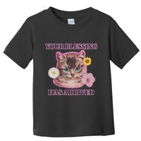 Your Blessing Has Arrived Cat & Funny Silly Catr Blessing Has Arrived Cat & Funn Toddler T-Shirt