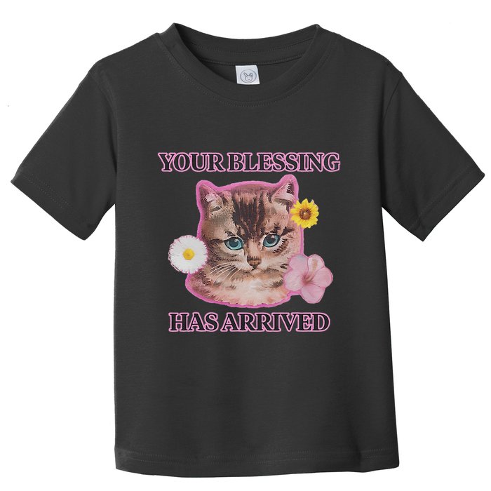 Your Blessing Has Arrived Cat & Funny Silly Catr Blessing Has Arrived Cat & Funn Toddler T-Shirt