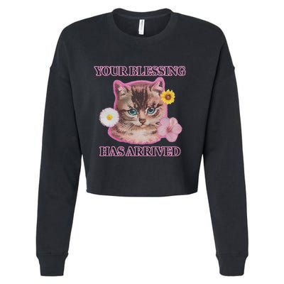 Your Blessing Has Arrived Cat & Funny Silly Catr Blessing Has Arrived Cat & Funn Cropped Pullover Crew
