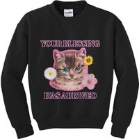 Your Blessing Has Arrived Cat & Funny Silly Catr Blessing Has Arrived Cat & Funn Kids Sweatshirt