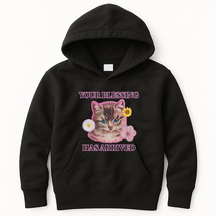 Your Blessing Has Arrived Cat & Funny Silly Catr Blessing Has Arrived Cat & Funn Kids Hoodie