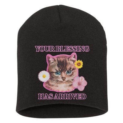 Your Blessing Has Arrived Cat & Funny Silly Catr Blessing Has Arrived Cat & Funn Short Acrylic Beanie