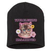 Your Blessing Has Arrived Cat & Funny Silly Catr Blessing Has Arrived Cat & Funn Short Acrylic Beanie