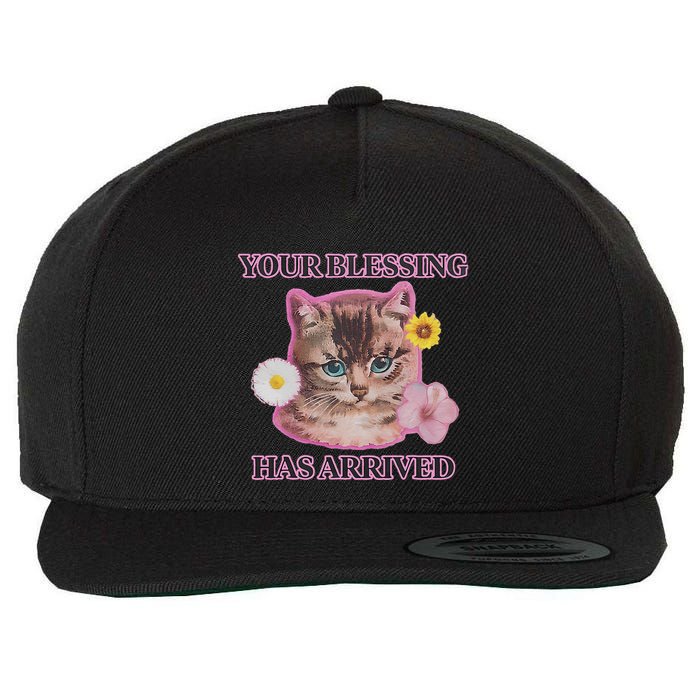 Your Blessing Has Arrived Cat & Funny Silly Catr Blessing Has Arrived Cat & Funn Wool Snapback Cap