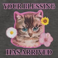 Your Blessing Has Arrived Cat & Funny Silly Catr Blessing Has Arrived Cat & Funn Vector Backpack