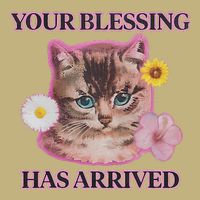 Your Blessing Has Arrived Cat & Funny Silly Catr Blessing Has Arrived Cat & Funn T-Shirt