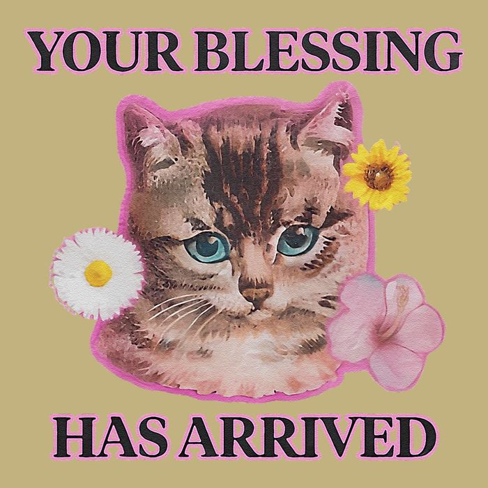 Your Blessing Has Arrived Cat & Funny Silly Catr Blessing Has Arrived Cat & Funn T-Shirt