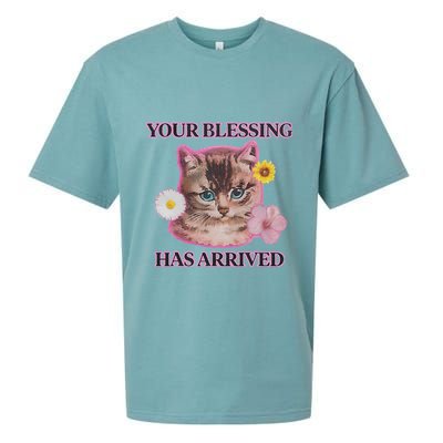 Your Blessing Has Arrived Cat & Funny Silly Catr Blessing Has Arrived Cat & Funn Sueded Cloud Jersey T-Shirt