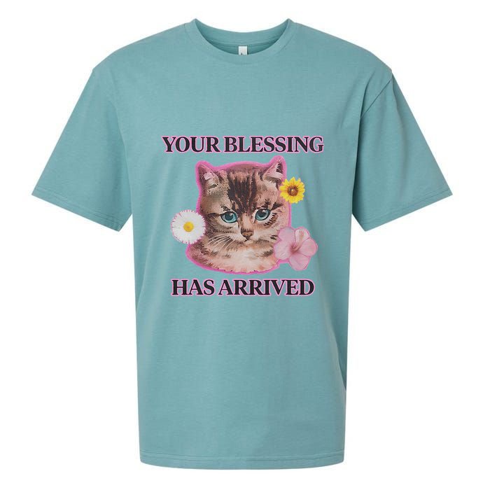 Your Blessing Has Arrived Cat & Funny Silly Catr Blessing Has Arrived Cat & Funn Sueded Cloud Jersey T-Shirt