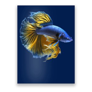 Yellow & Blue Siamese Fighting Betta Fish Aquarium Owner Poster