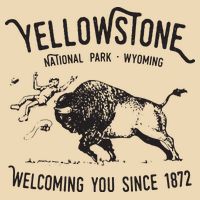 Yellowstone Bison Toss National Park Wyoming Drawstring Bag