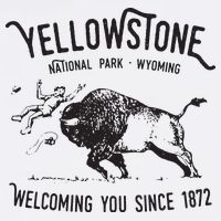 Yellowstone Bison Toss National Park Wyoming Cooling Performance Crew T-Shirt