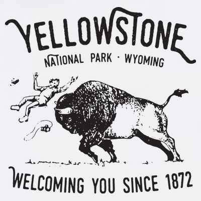 Yellowstone Bison Toss National Park Wyoming T-Shirt