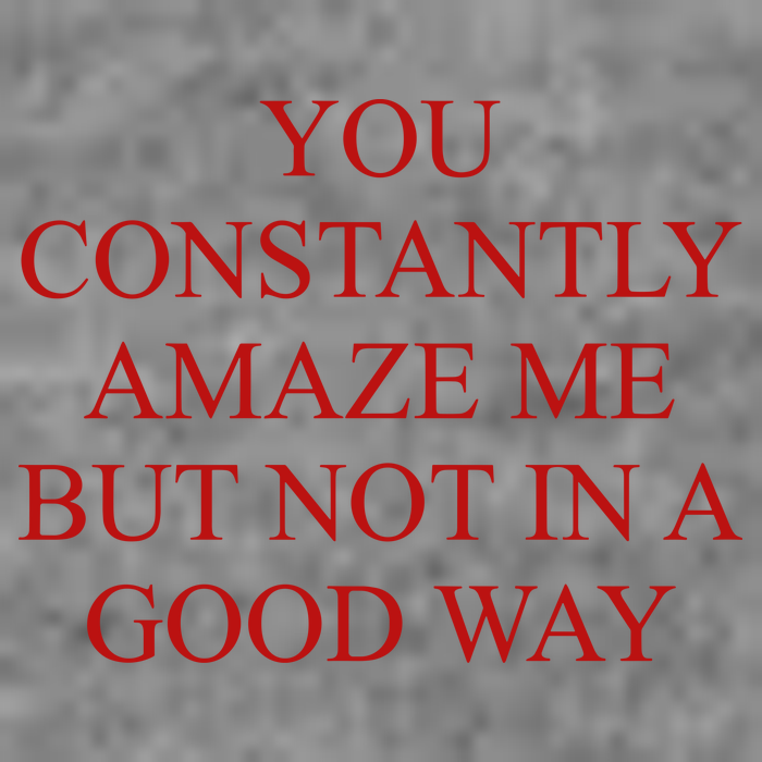 You Constantly Amaze Me But Not In A Good Way Hooded Wearable Blanket