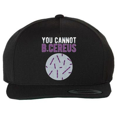 You Cannot B Cereus Microbiologist Microbiology Wool Snapback Cap