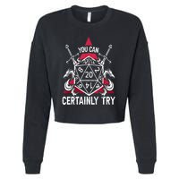 You Can Certainly Try D20 Dice Funny RPG Dragons Gamer Gift Cropped Pullover Crew