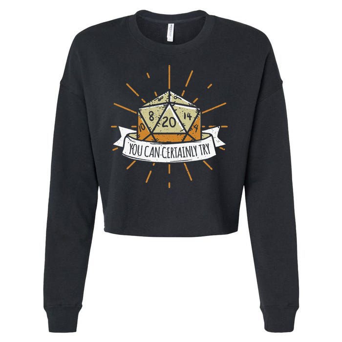 You Can Certainly Try Dragon Dice Wizard Gamer Cropped Pullover Crew