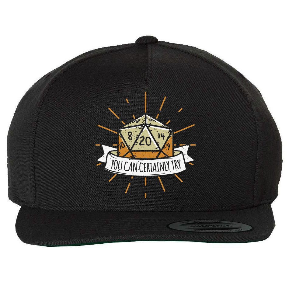 You Can Certainly Try Dragon Dice Wizard Gamer Wool Snapback Cap