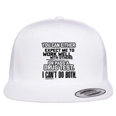 You Can Either Expect Me To Work Well With Others Or Pass Flat Bill Trucker Hat