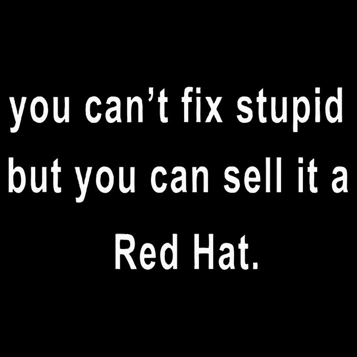 You CanT Fix Stupid But You Can Sell It A Red Hat Funny Toddler Hoodie