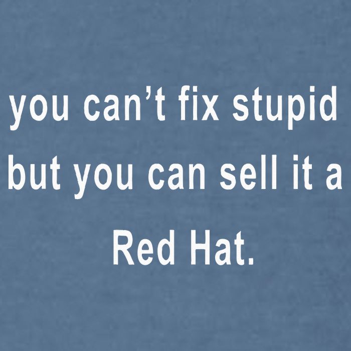 You CanT Fix Stupid But You Can Sell It A Red Hat Funny Garment-Dyed Sweatshirt