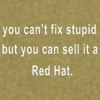 You CanT Fix Stupid But You Can Sell It A Red Hat Funny Garment-Dyed Women's Muscle Tee