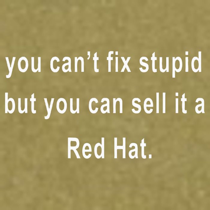 You CanT Fix Stupid But You Can Sell It A Red Hat Funny Garment-Dyed Women's Muscle Tee