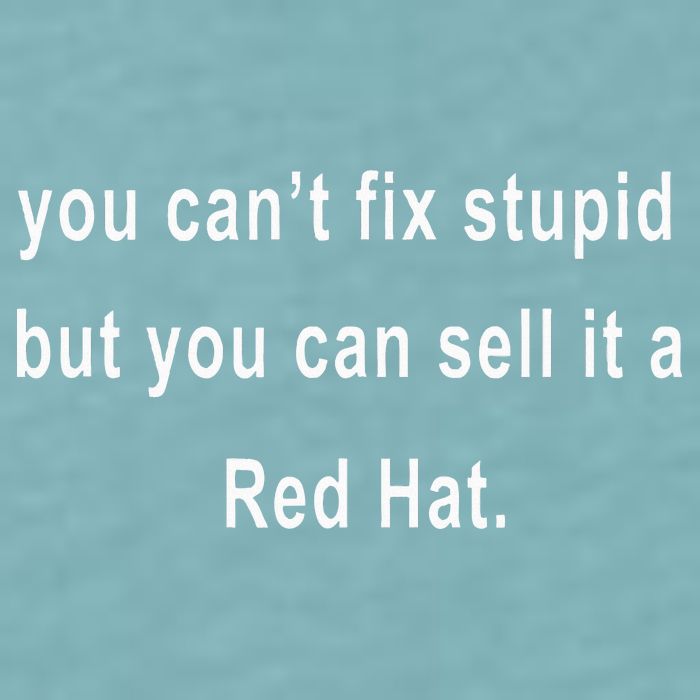 You CanT Fix Stupid But You Can Sell It A Red Hat Funny Sueded Cloud Jersey T-Shirt