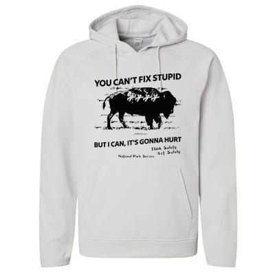 You Can’T Fix Stupid But I Can ItS Gonna Hurt Performance Fleece Hoodie