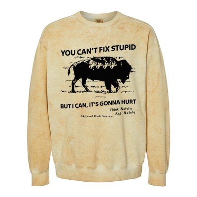 You Can’T Fix Stupid But I Can ItS Gonna Hurt Colorblast Crewneck Sweatshirt