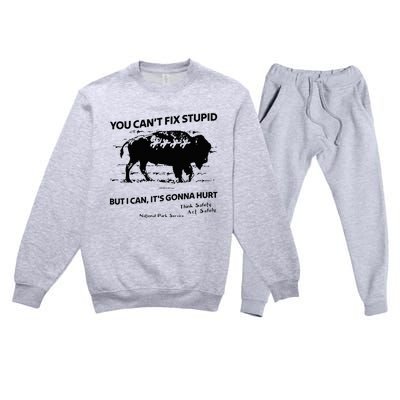 You Can’T Fix Stupid But I Can ItS Gonna Hurt Premium Crewneck Sweatsuit Set