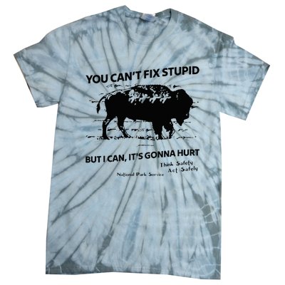 You Can’T Fix Stupid But I Can ItS Gonna Hurt Tie-Dye T-Shirt