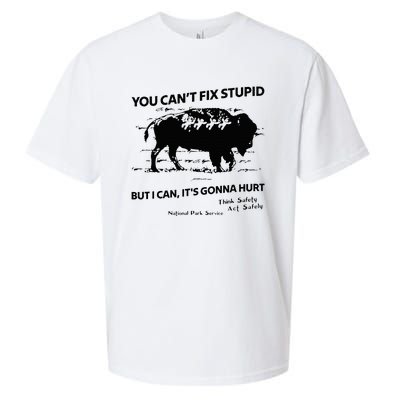 You Can’T Fix Stupid But I Can ItS Gonna Hurt Sueded Cloud Jersey T-Shirt