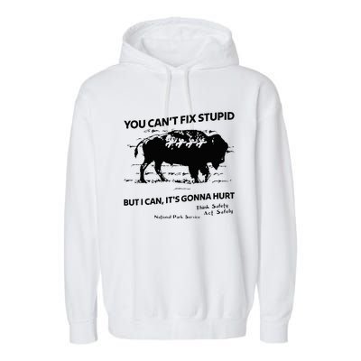 You Can’T Fix Stupid But I Can ItS Gonna Hurt Garment-Dyed Fleece Hoodie