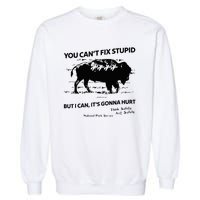 You Can’T Fix Stupid But I Can ItS Gonna Hurt Garment-Dyed Sweatshirt