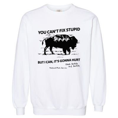 You Can’T Fix Stupid But I Can ItS Gonna Hurt Garment-Dyed Sweatshirt