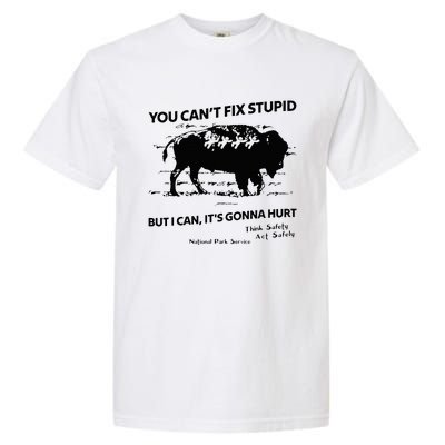 You Can’T Fix Stupid But I Can ItS Gonna Hurt Garment-Dyed Heavyweight T-Shirt