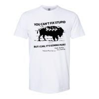 You Can’T Fix Stupid But I Can ItS Gonna Hurt Softstyle CVC T-Shirt