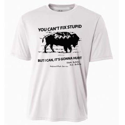 You Can’T Fix Stupid But I Can ItS Gonna Hurt Cooling Performance Crew T-Shirt