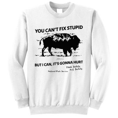 You Can’T Fix Stupid But I Can ItS Gonna Hurt Sweatshirt